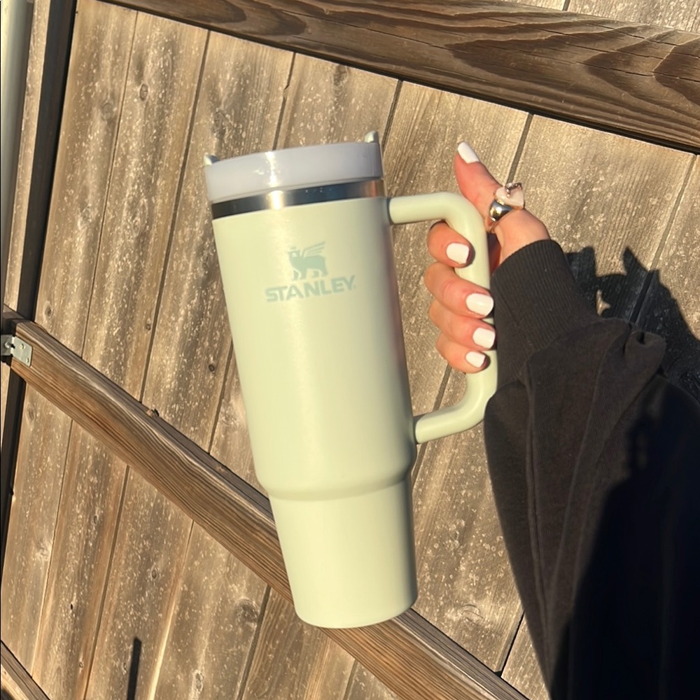 Mist 32 oz. Stanley Cup 🍀🐍🌿🥑